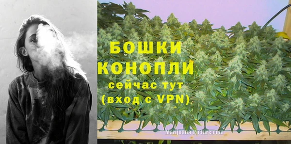 винт Дмитриев