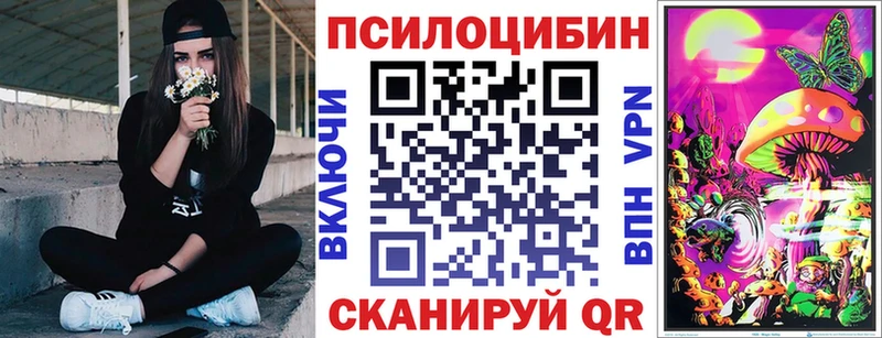 Галлюциногенные грибы мицелий  Купить где  Невель 